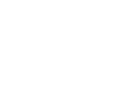 vip-blanco